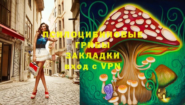 кокс Алексеевка