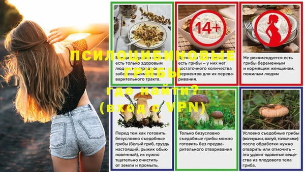 хмурый Алзамай
