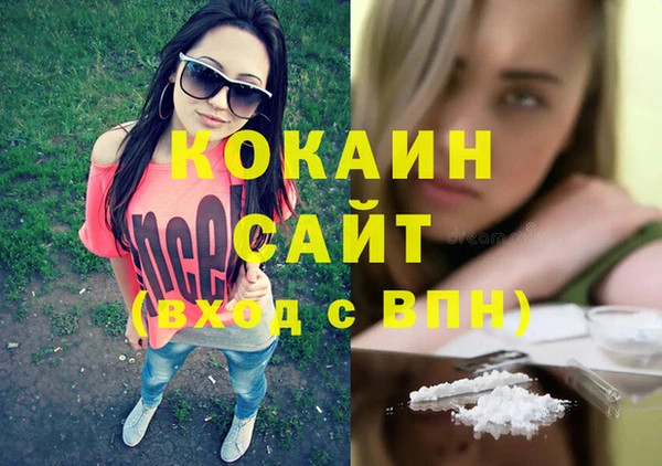 хмурый Алзамай