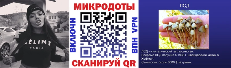 Галлюциногенные грибы Cubensis  как найти   Златоуст 