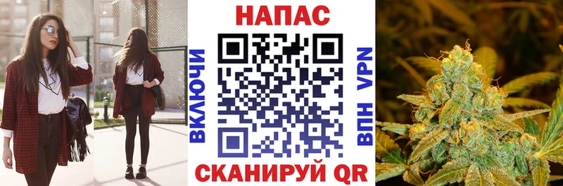 закладки Златоуст Бошки Шишки семена